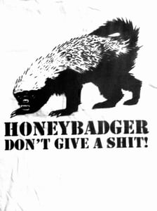 Image of Honeybadger!