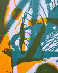 Image 3 of SOMBRA VEGETAL