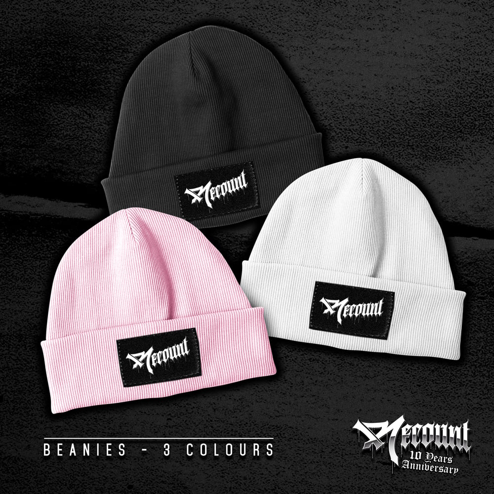 Image of  REPRINTED *RECOUNT* BEANIE 