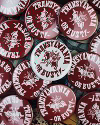 Image 5 of Transylvania or Bust! T-shirt + Button