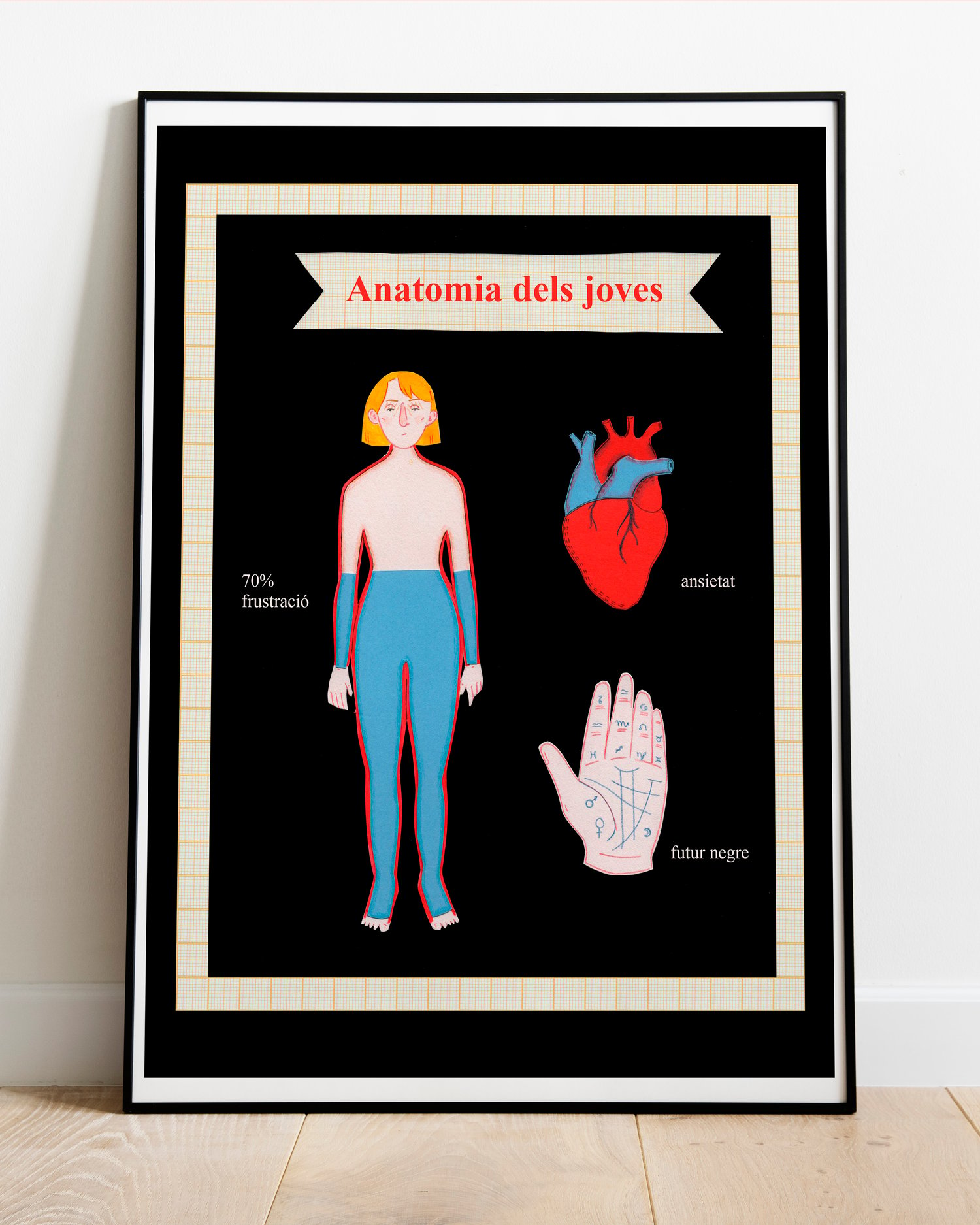 Làmina anatomia dels joves