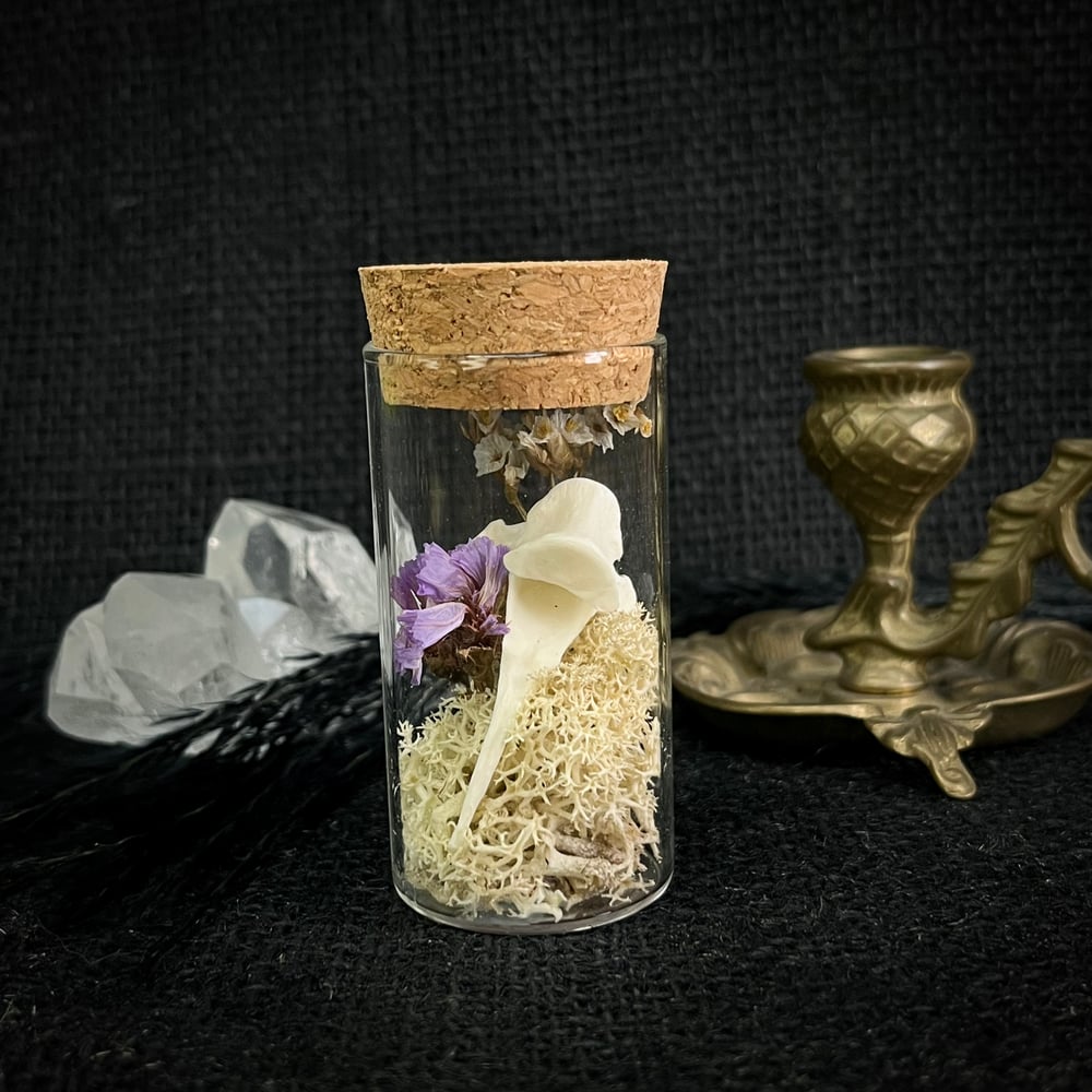 Image of Fox Bone Vial - CXXXVIII