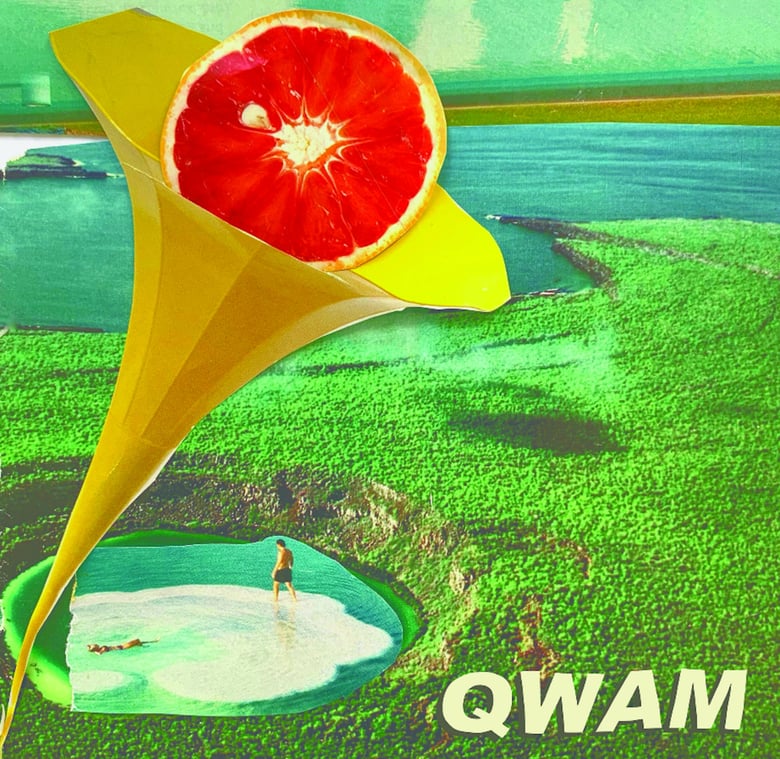 Image of QWAM - Little Bliss 7" - disto