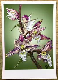 A5 Postcard - Orchid