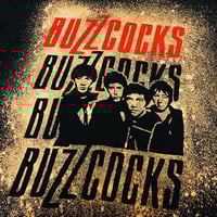 Image 2 of B U Z Z C O C K S