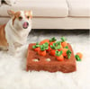 Carrot Patch Dog Toy