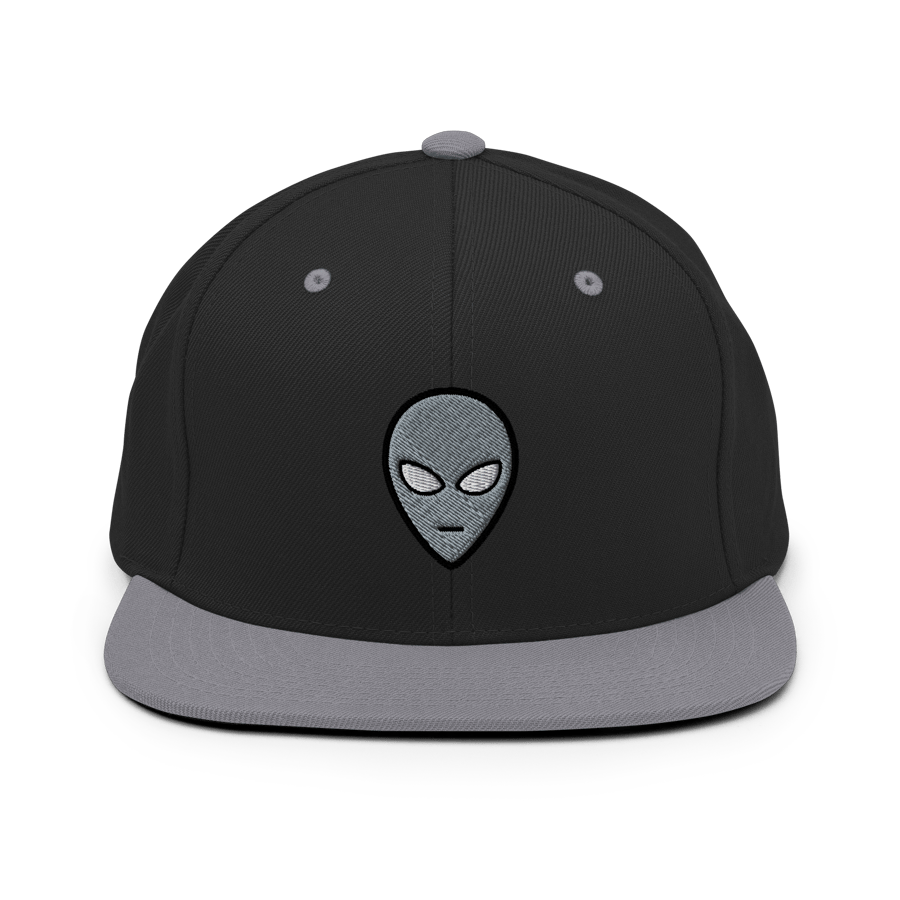 Image of Little Gray Friend Snapback 