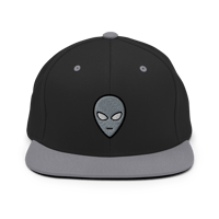 Image 1 of Little Gray Friend Snapback 