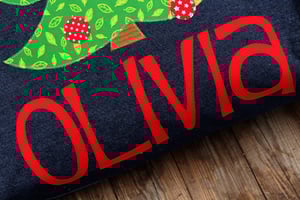 Image of Santa Sack Denim