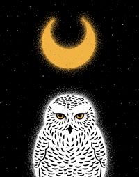 Majestic Snow Owl