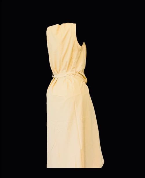 Image of Solid Honey Pleated Elegant Dress