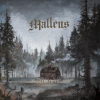 Image 1 of MALLEUS "The Fires Of Heaven" LP