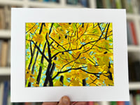 Autumn Angles: Matted Original Painting