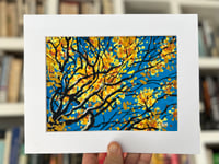 Fall Canopy 2: Matted Original Painting