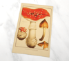 Poisonous Mushrooms Tea Towel 