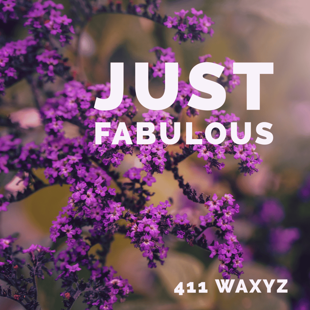 Image of Just Fabulous (Fabuloso Type)