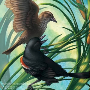 Image of Morning Song: Losing Altitude - Art Print