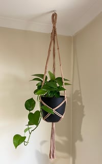 Image 1 of Macrame Plant hangers