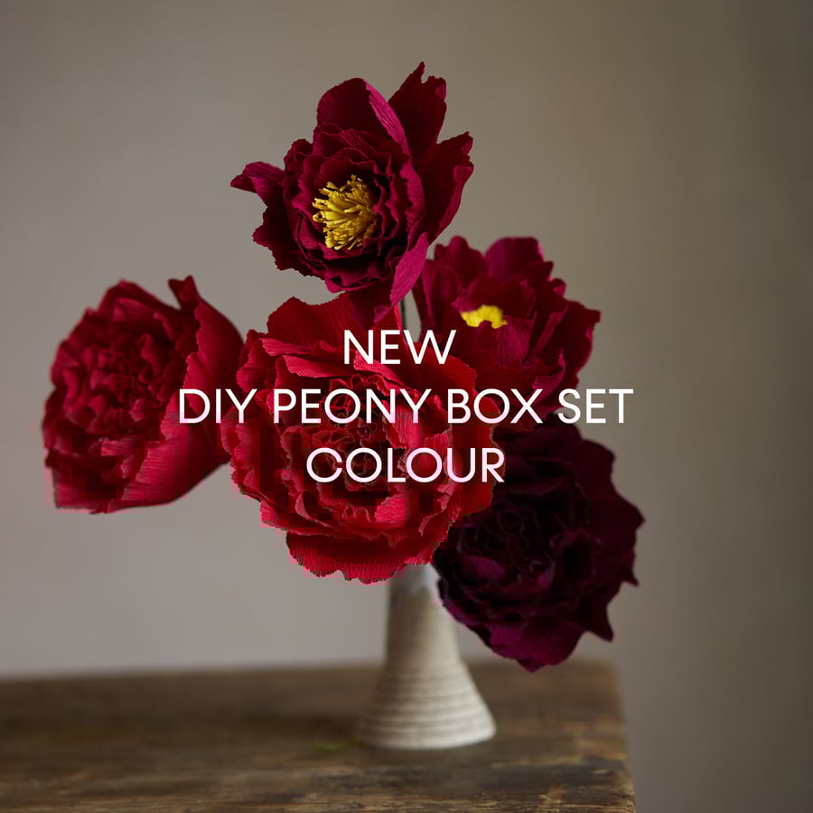 Image of XMAS edition - Paper Peony Kit