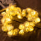 Image of Flower String Lights