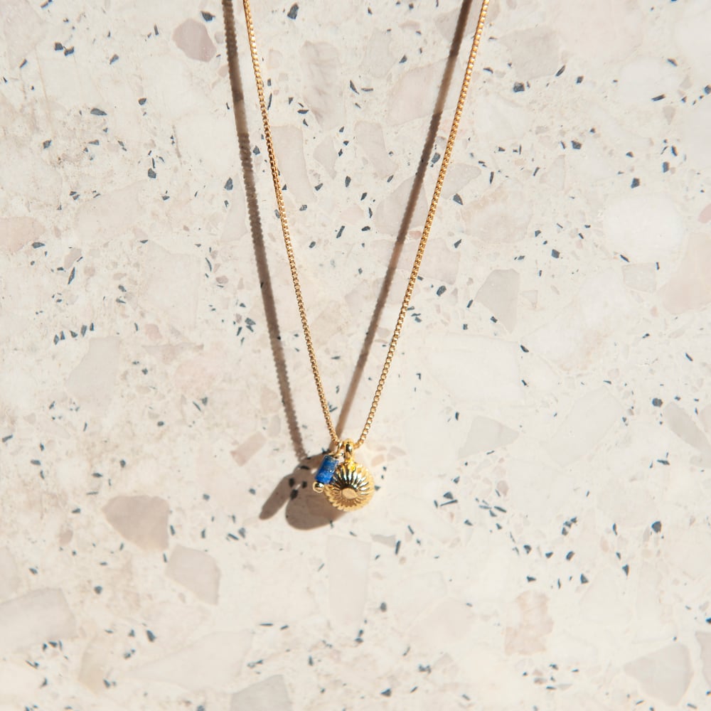 Image of Gold shell necklace