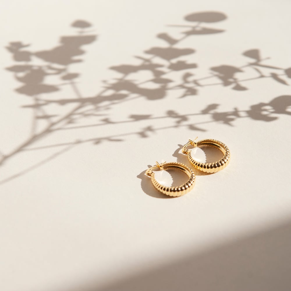 Image of Gold shell hoops