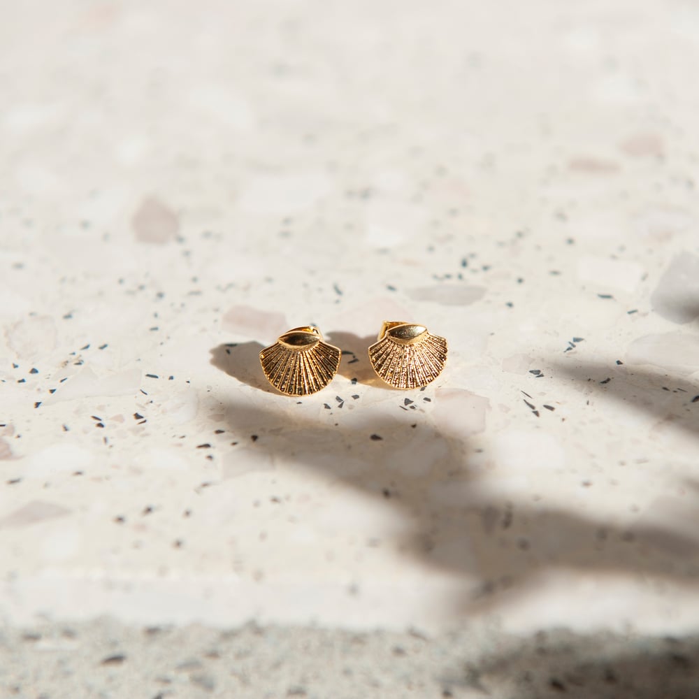 Image of Small gold shell earstuds