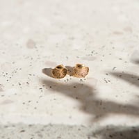 Small gold shell earstuds
