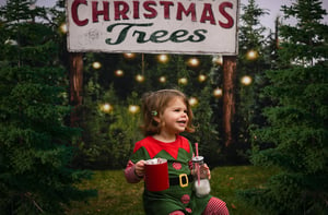Image of Christmas Minis - Tree Farm 