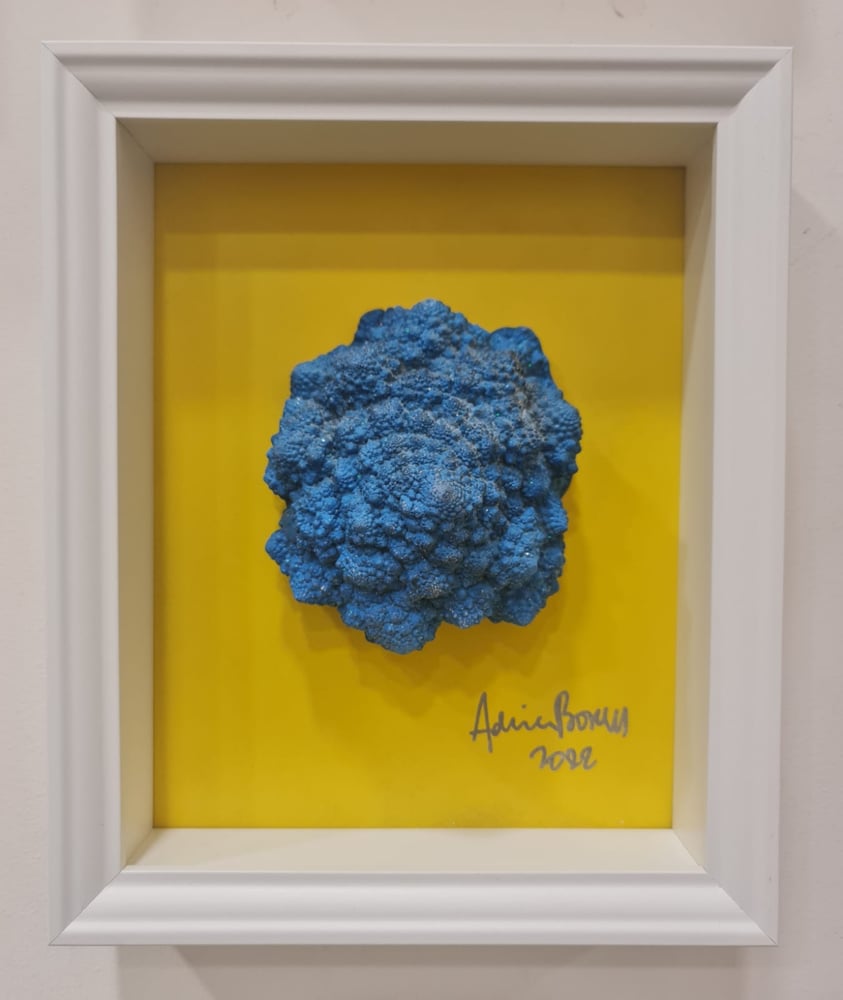 Image of BLUE JOY (Deluxe)