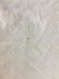 Image 4 of Antique Italian Linen from the 1890's (Ana-Laura)