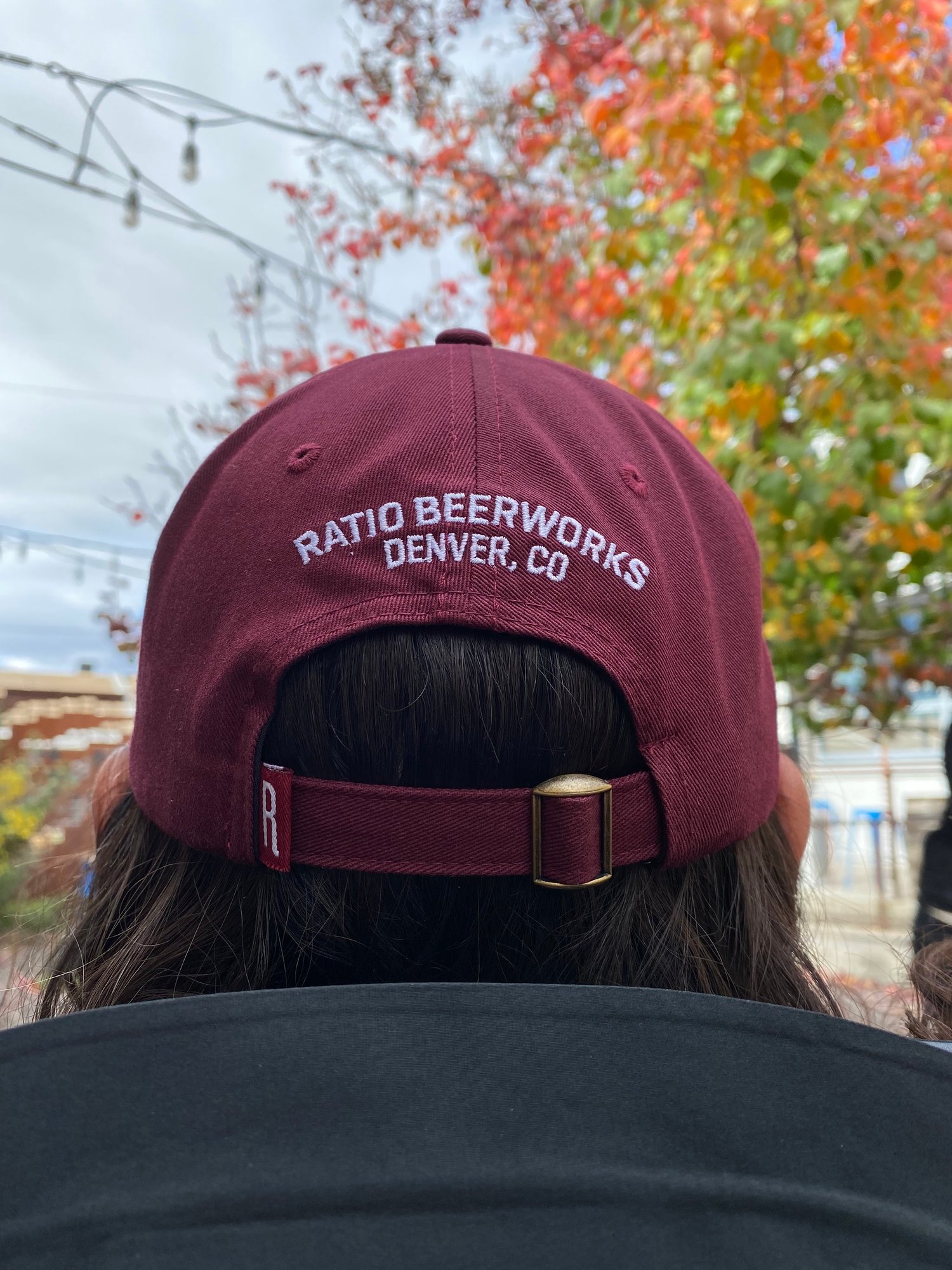 Image of Burgundy Dad Hat