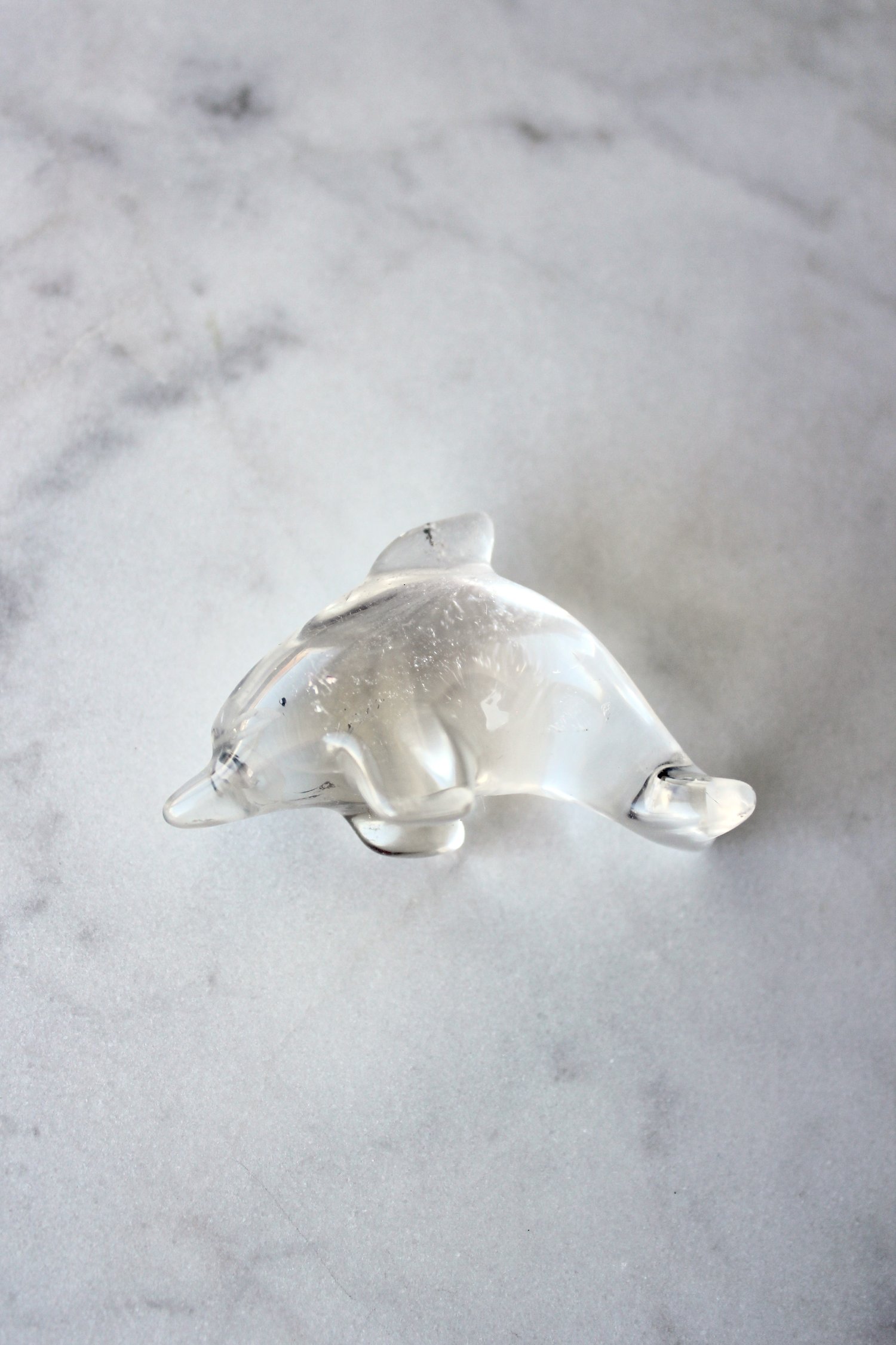 Image of Clear Quartz Dolphin