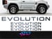 Image of Pajero Shogun Evolution 3d Domed Sticker Replacement Set