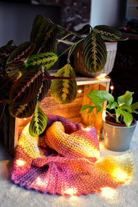 Image 1 of Sunset scalloped scarf