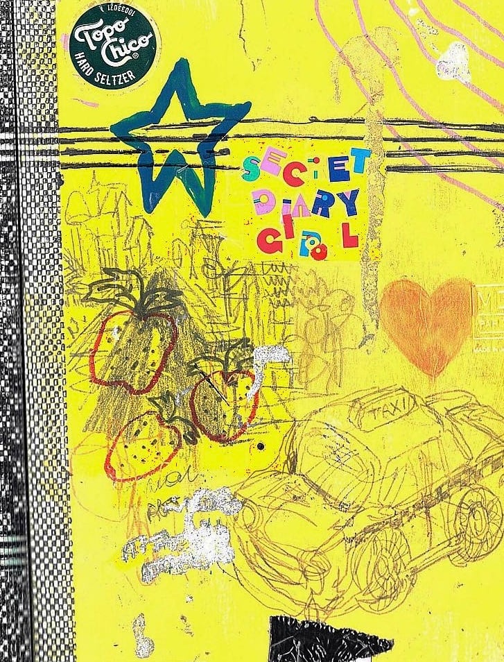 SECRET DIARY GIRL TOUR BOOK