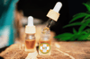 Full Spectrum Bud Only CBD Oil