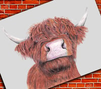 Image 2 of "Bad Hair Day" - Highland Cow Art Print