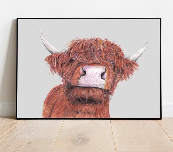 Image of "Bad Hair Day" - Highland Cow Art Print
