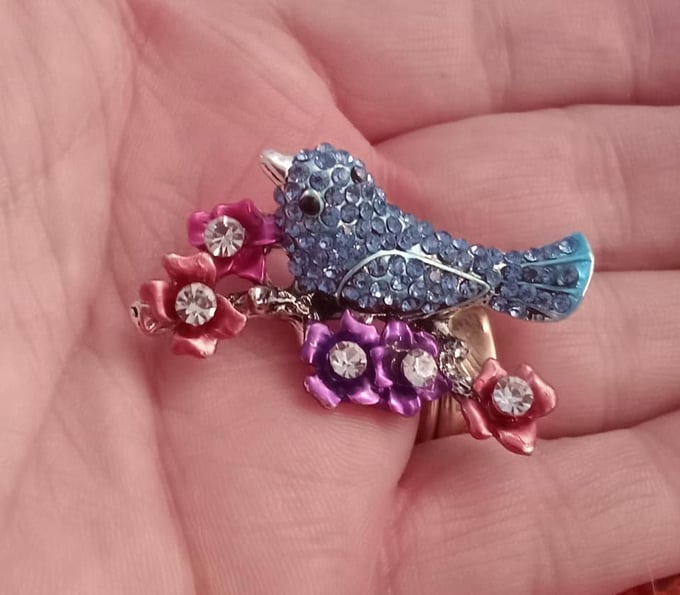 Image of Beautiful Bejeweled Bluebird