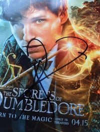 Image 2 of Eddie Redmayne Signed Secrets of Dumbledore
