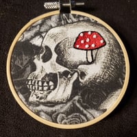 Image 2 of Amanita muscaria on the mind