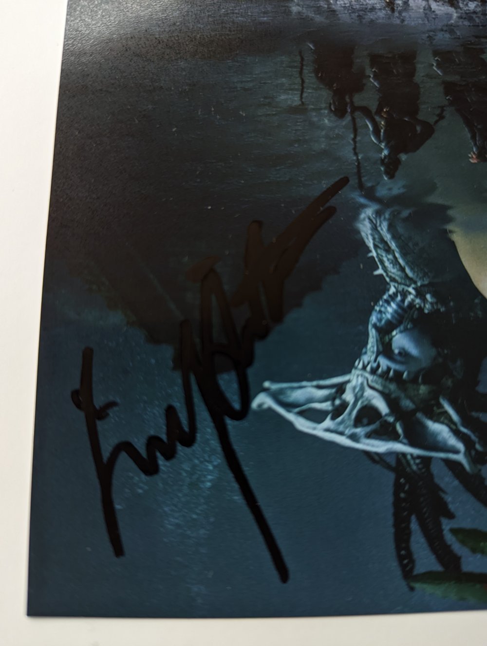 Wakanda Forever Danai Gurira & Lupita Nyong'o signed cast 10x8