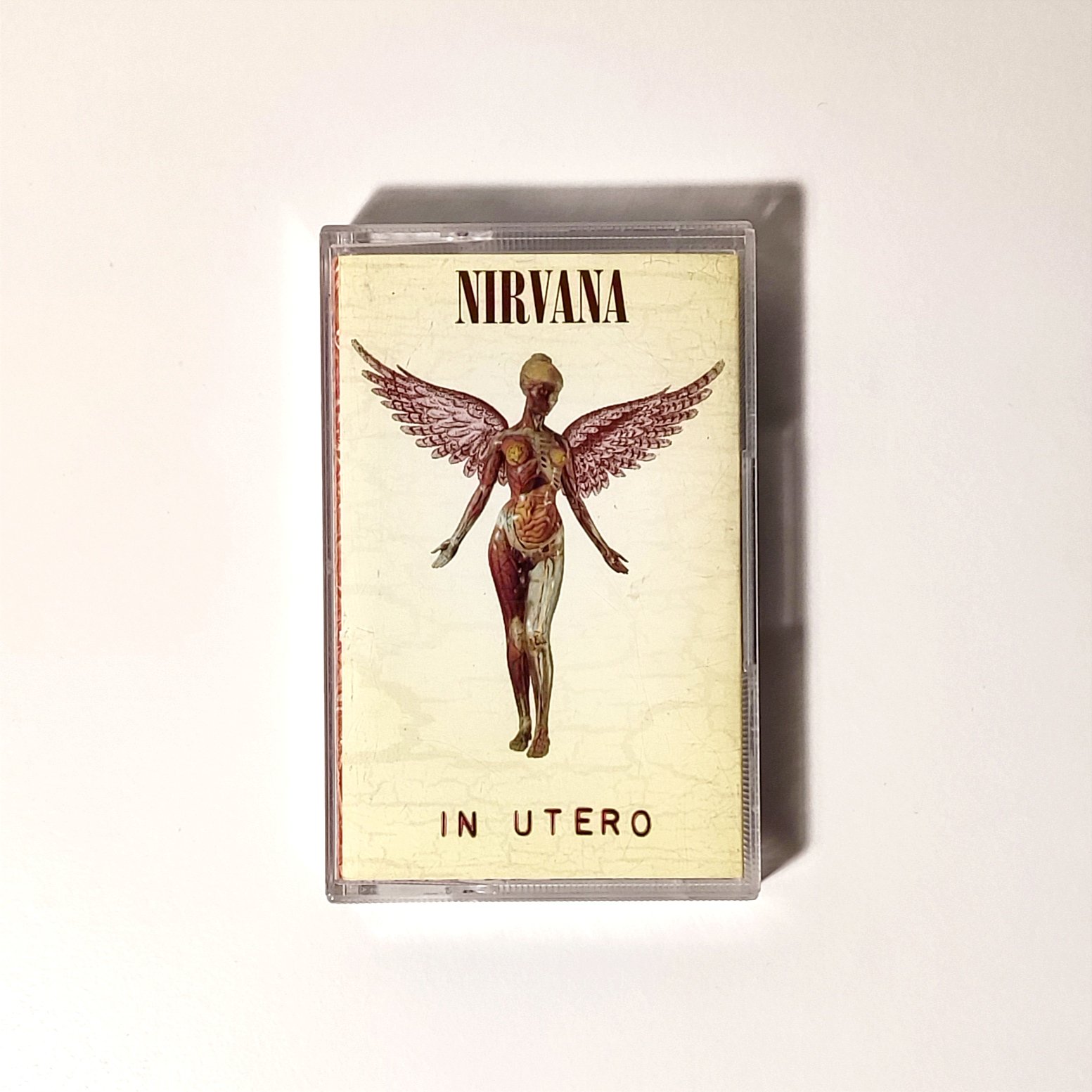 ミュージシャン NIRVANA IN UTERO ANVIL MEDIUM NIRVANA IN UTERO ANVIL MEDIUM 6527 | greatLAnd