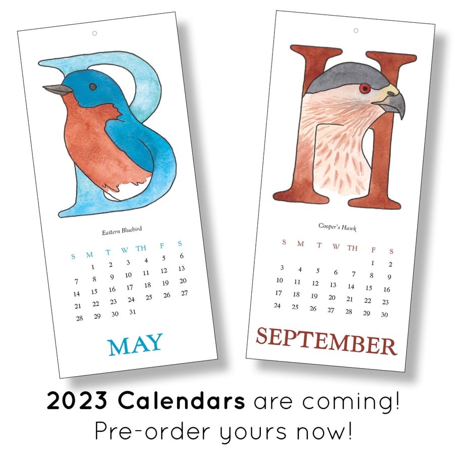 Image of 2023 Birds of All Seasons Calendar