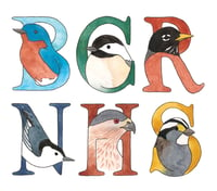 Birds of All Seasons Card Set 9