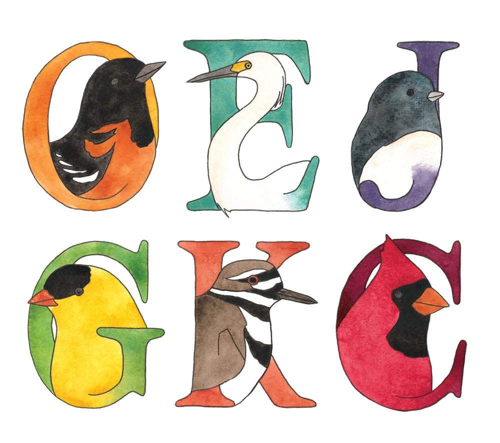 Image of Birds of All Seasons Card Set 10