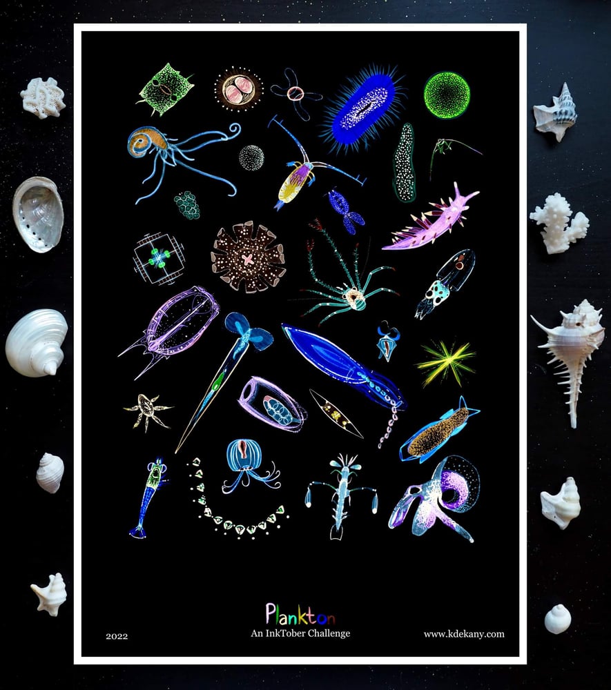 Image of Plankton Poster InkTober Challenge Fine Art Print 