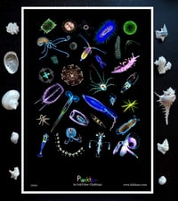 Image 1 of Plankton Poster InkTober Challenge Fine Art Print 