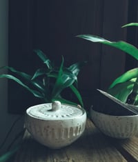 Image 4 of WORKSHOP "MERAKI"